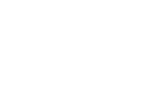 Leyo Logo